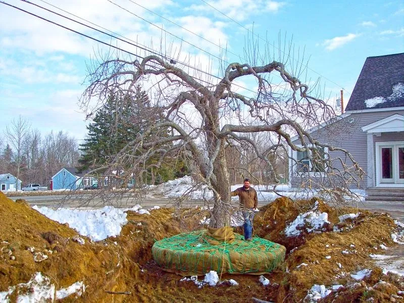 Affordable yard cleanup service near you in Ellsworth, ME by Atlantic Landscape Construction