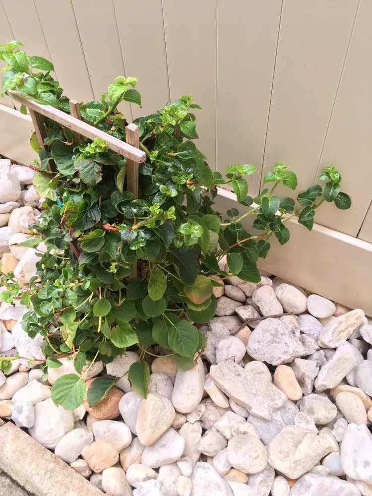 Trusted landscaping services experts serving North Brunswick, NJ - Atlantic Landscape Solutions