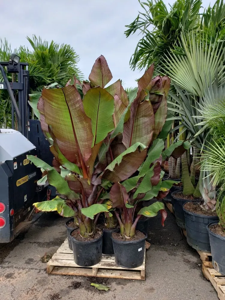 Top-rated yard cleanup service near you across North Brunswick, NJ - Atlantic Landscape Solutions