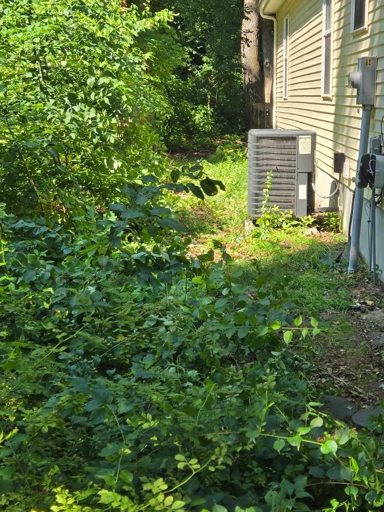 Top-rated lawn care service in Salisbury, MD by Atlantic Landscapes