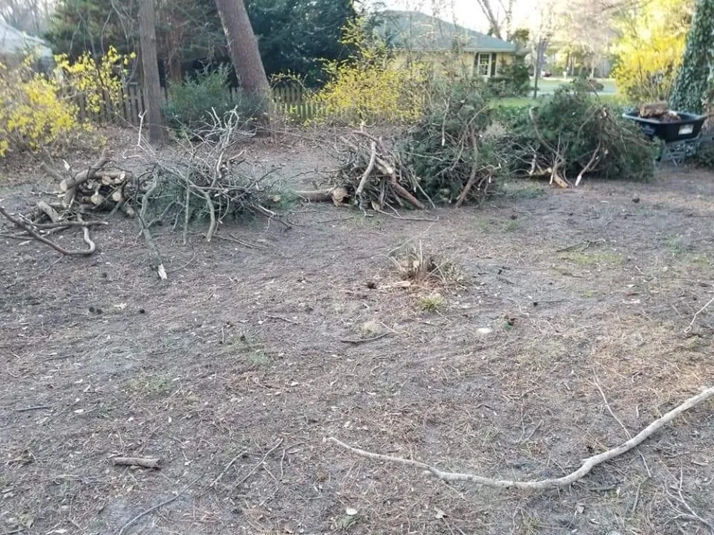 Trusted landscape installation experts serving Salisbury, MD - Atlantic Landscapes