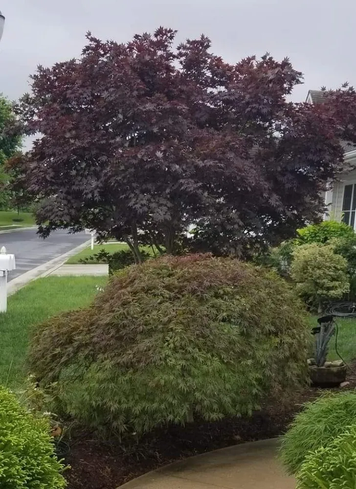 Reliable landscaping services experts serving Salisbury, MD - Atlantic Landscapes