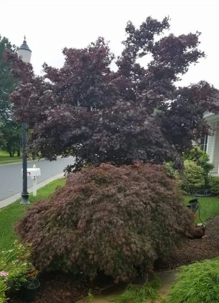 Professional landscape installation near you across Salisbury, MD - Atlantic Landscapes