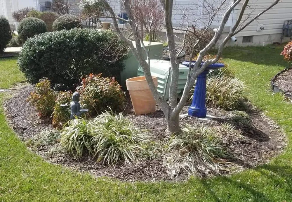 Reliable yard cleanup service experts serving Salisbury, MD - Atlantic Landscapes