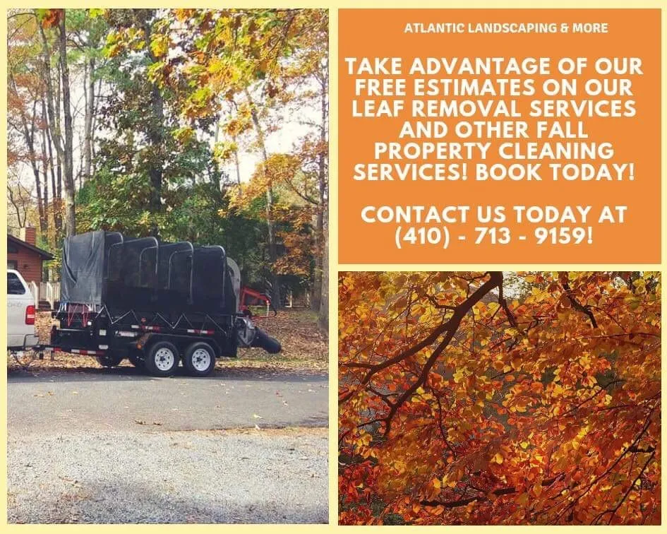 Professional garden landscaping experts serving Berlin, MD - Atlantic Landscaping & More