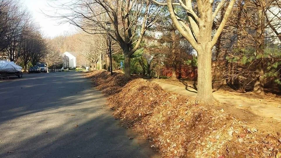 Trusted landscape design for outdoor upgrades across Odenton, MD - Atlantic Lawn & Landscaping