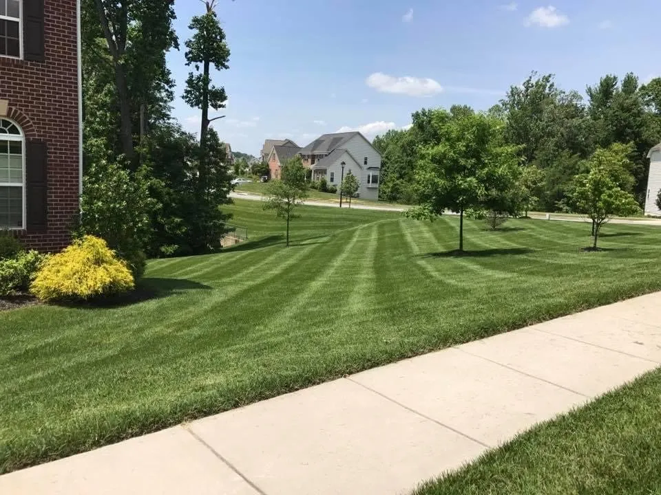 Custom lawn care service in Odenton, MD by Atlantic Lawn & Landscaping