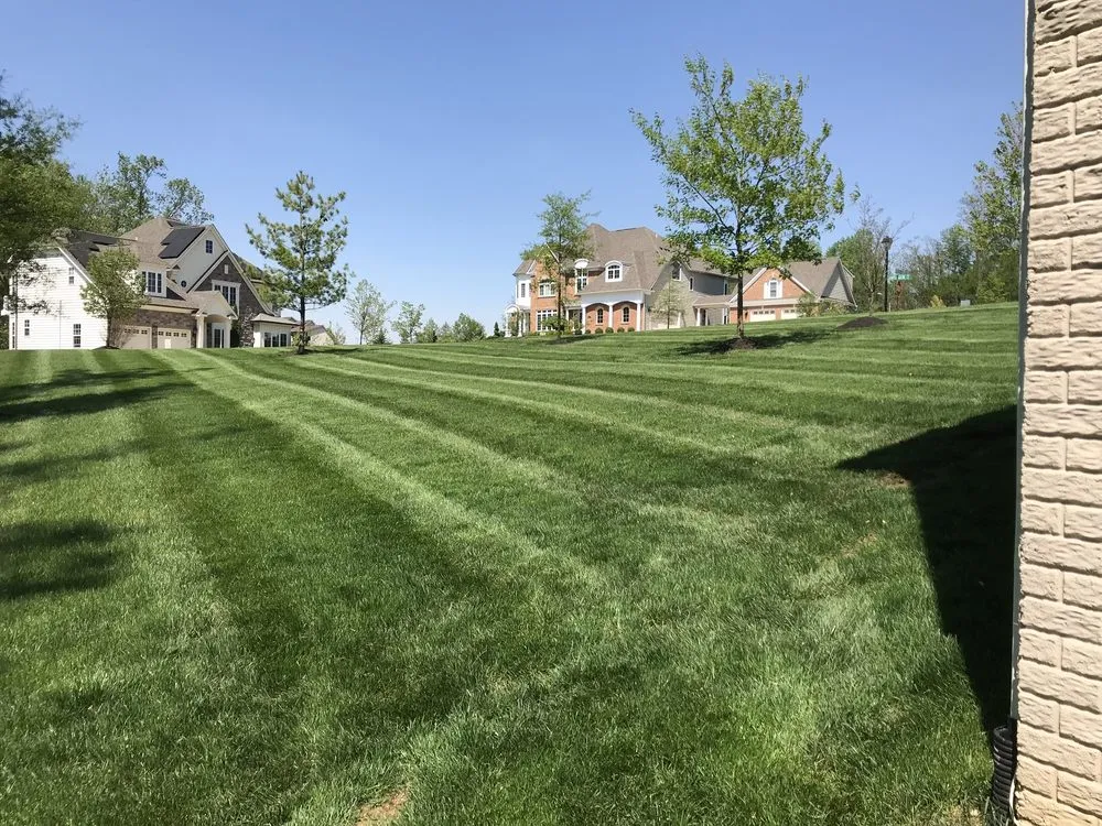 Local lawn care service experts serving Odenton, MD - Atlantic Lawn & Landscaping
