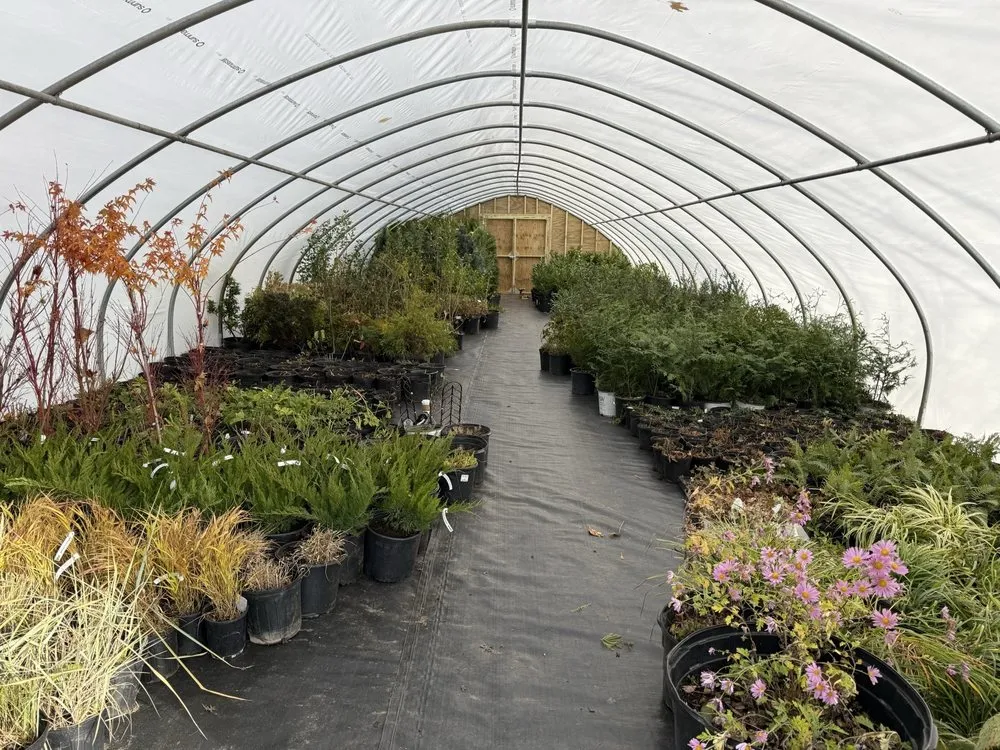 Affordable outdoor landscaping experts serving Jamestown, RI - Atlantic Lawn and Garden