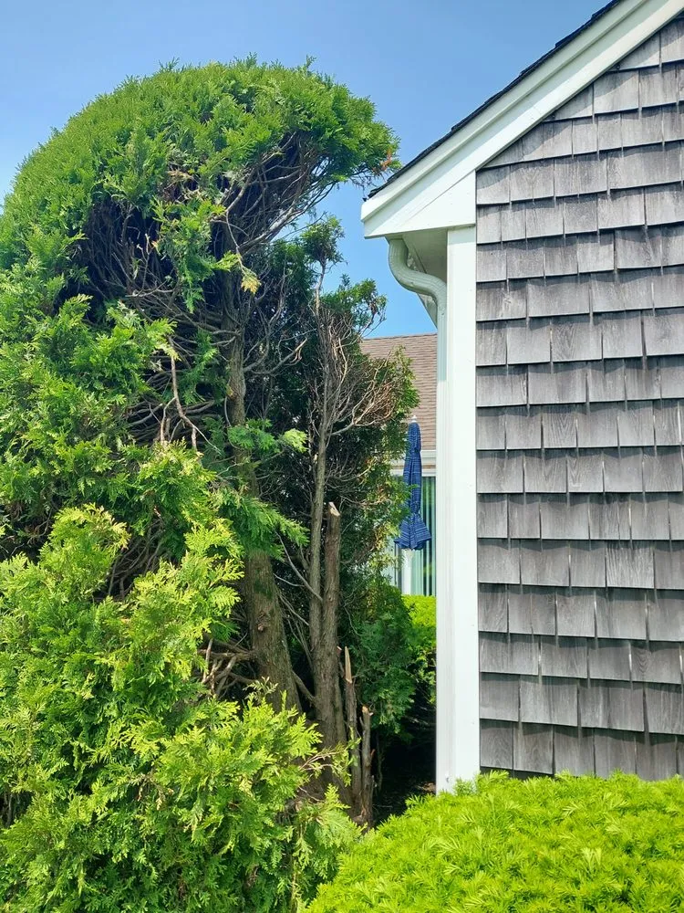 Professional lawn mowing service in Jamestown, RI - Atlantic Lawn and Garden