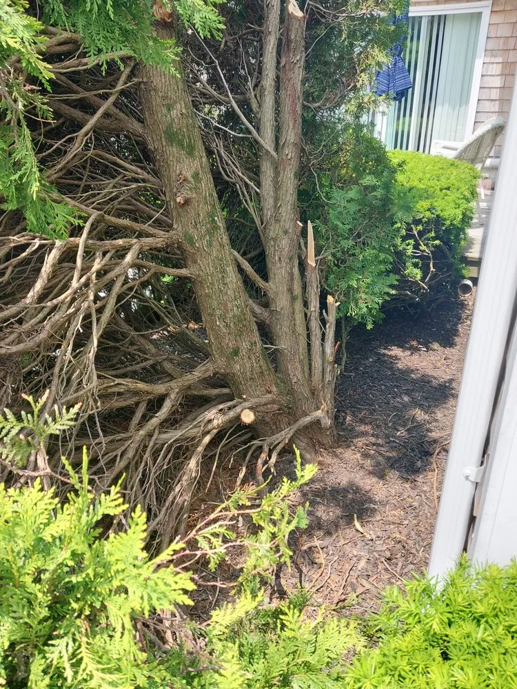 Reliable landscaping services in Jamestown, RI - Atlantic Lawn and Garden