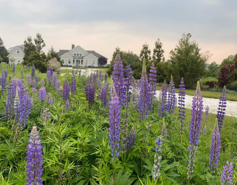 Affordable landscaping services experts serving Jamestown, RI - Atlantic Lawn and Garden