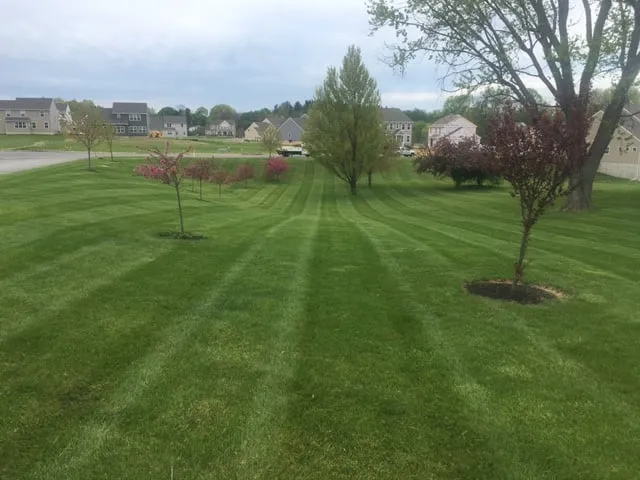 Trusted lawn care service for homes across New Freedom, PA - Atlantic Lawn and Landscape