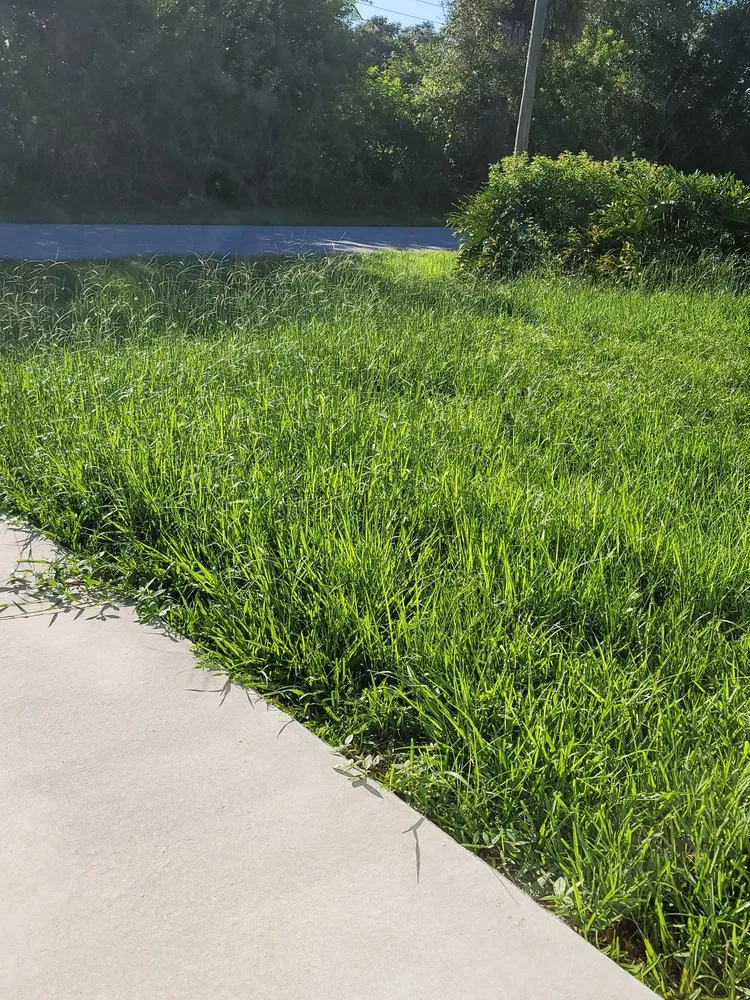 Top-rated lawn mowing service experts serving West Melbourne, FL - Atlantic Lawn And Landscape Space Coast