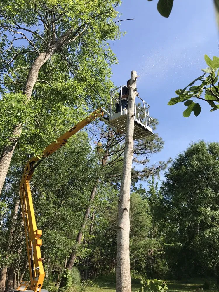 Trusted residential landscaping for beautiful yards in Wilmington, NC by Atlantic lawn And Tree