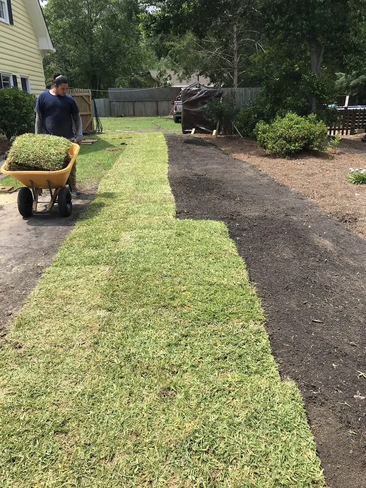 Local lawn mowing service in Wilmington, NC - Atlantic lawn And Tree