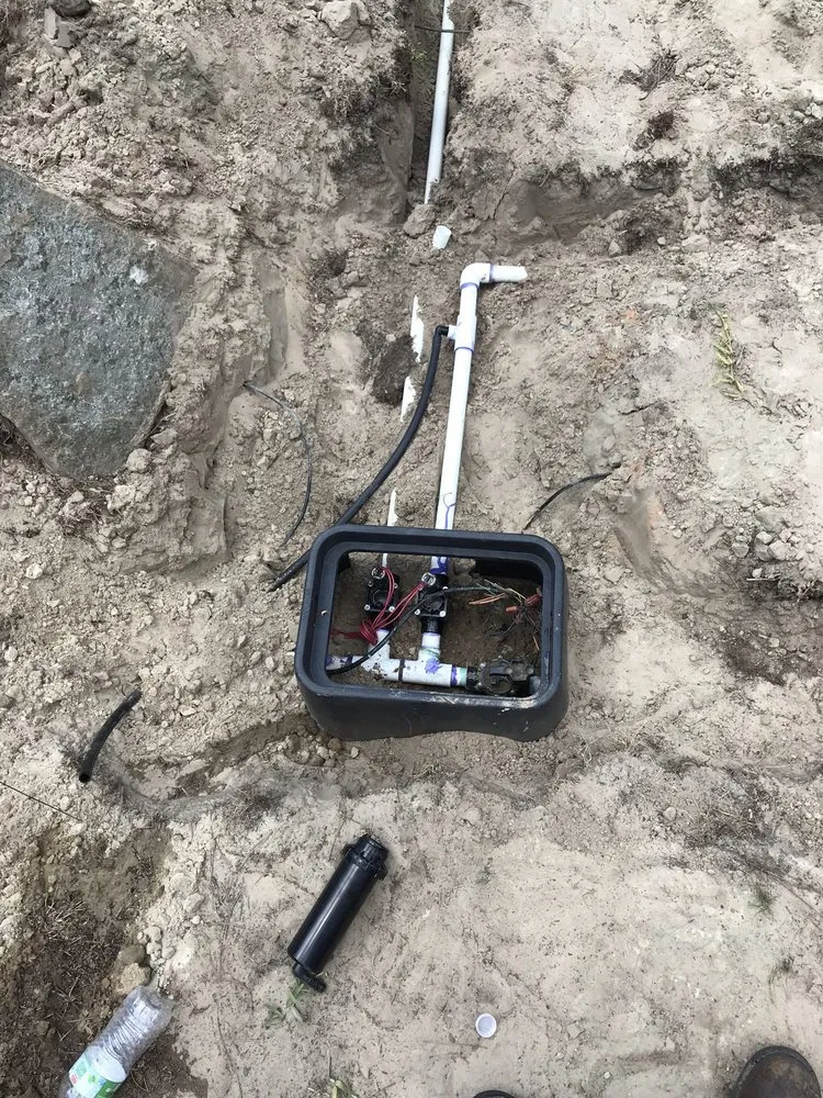 Professional yard cleanup service with custom design across Wilmington, NC - Atlantic lawn And Tree