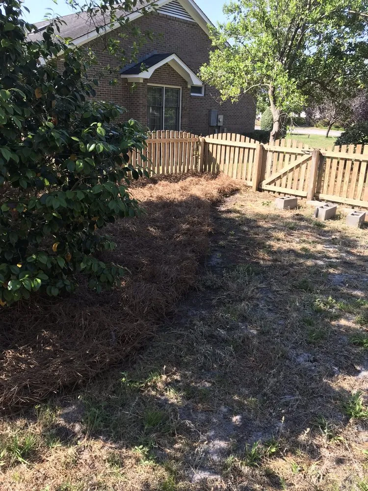 Top-rated landscaping services in Wilmington, NC - Atlantic lawn And Tree