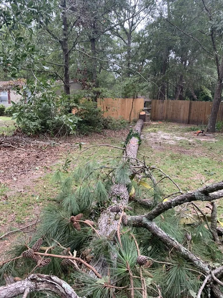 Trusted garden landscaping experts serving Wilmington, NC - Atlantic lawn And Tree