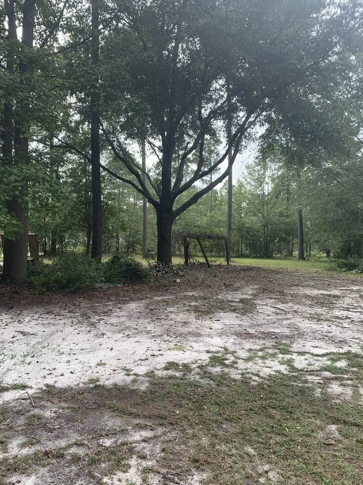 Trusted lawn mowing service in Wilmington, NC - Atlantic lawn And Tree