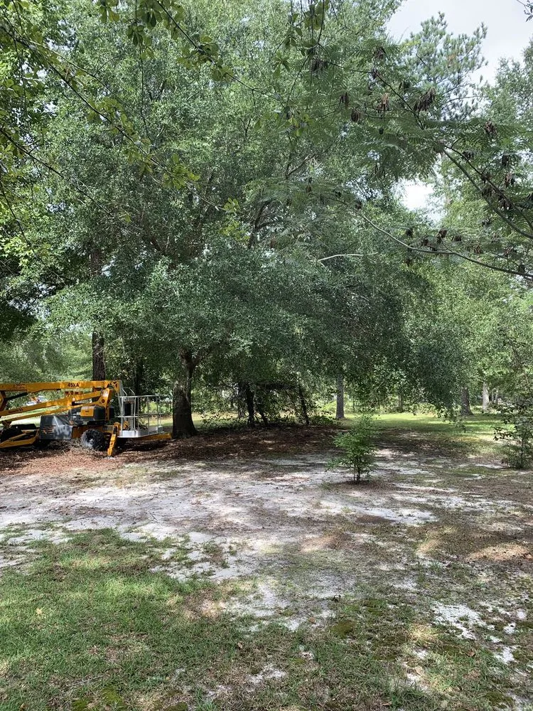 Top-rated lawn mowing service for year-round maintenance in Wilmington, NC by Atlantic lawn And Tree