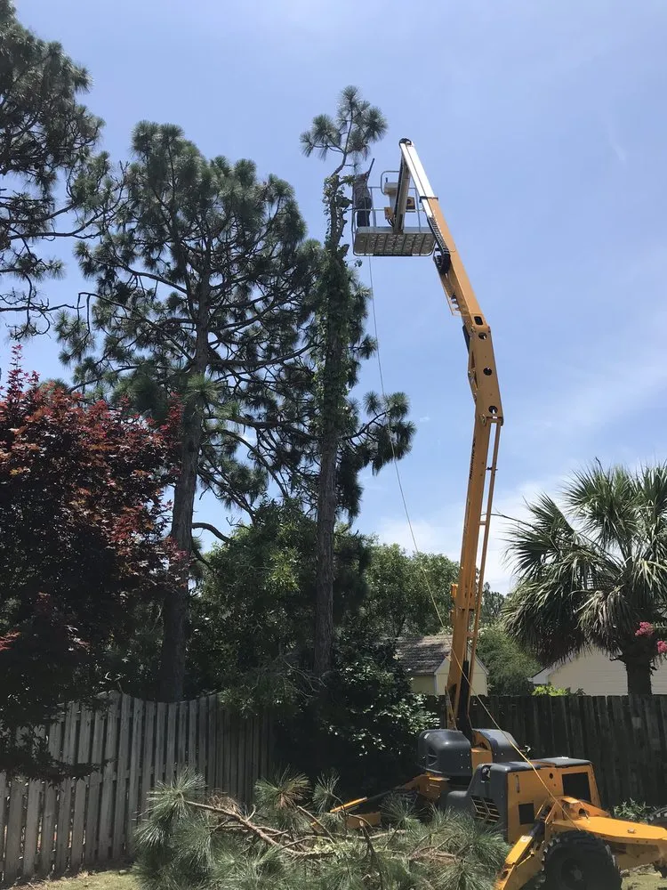 Trusted landscape installation for residential properties in Wilmington, NC by Atlantic lawn And Tree