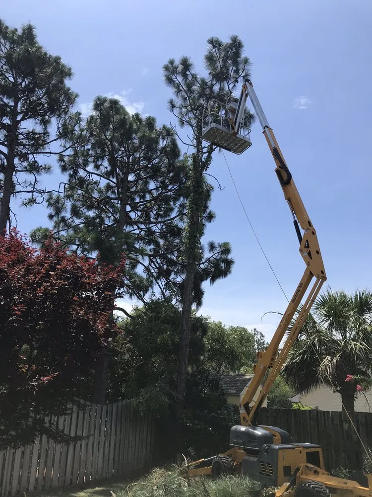 Expert garden landscaping experts serving Wilmington, NC - Atlantic lawn And Tree