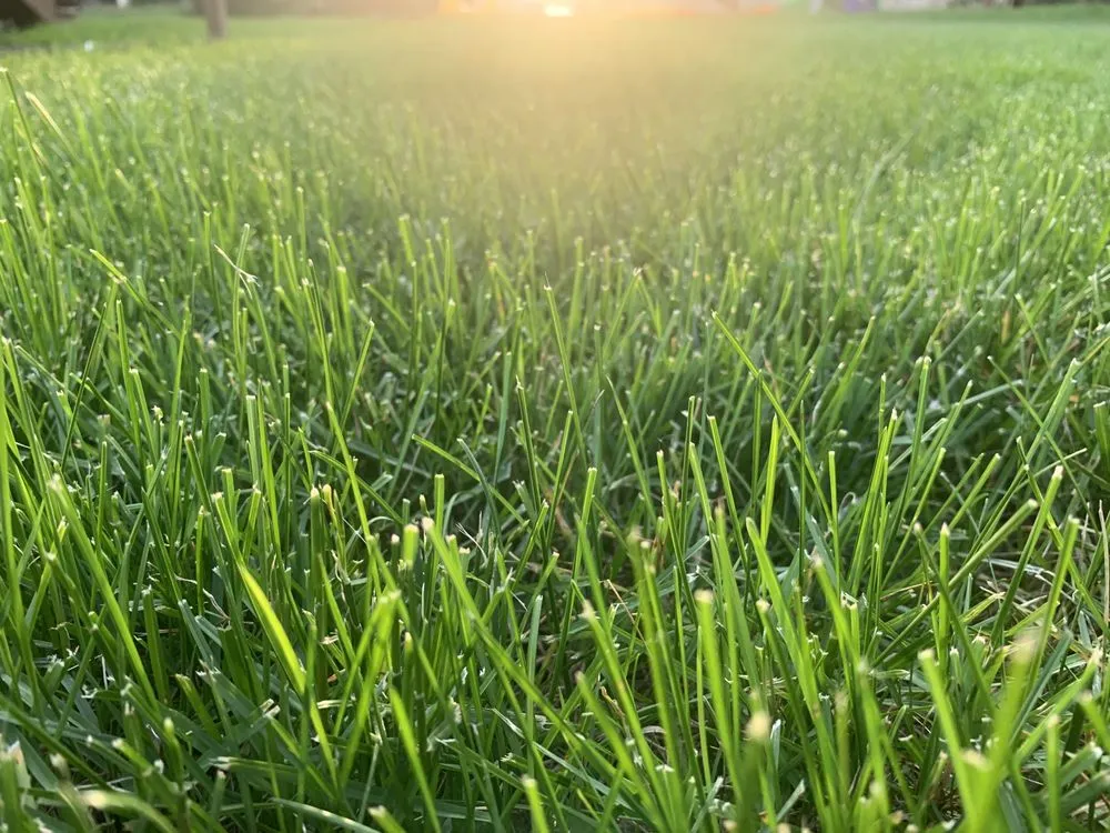 Custom landscaping services for outdoor upgrades in Brewer, ME by Atlantic Lawn Care And Landscape