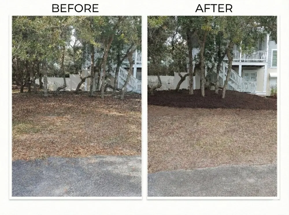 Trusted residential landscaping near you in Emerald Isle, NC by Atlantic Lawn Maintenance