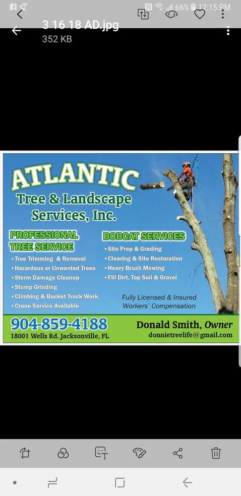 Trusted yard cleanup service experts serving Jacksonville, FL - Atlantic Tree and Landscape Services