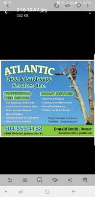 Atlantic Tree and Landscape Services Logo