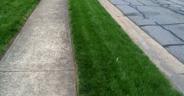 Trusted lawn mowing service in Norfolk, VA by Atlantic Turf Landscaping