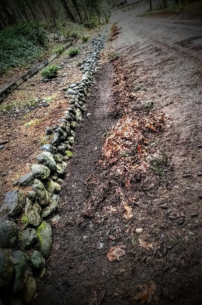 Trusted landscaping services for residential properties in Maple Valley, WA by Atlantis Landscape Design