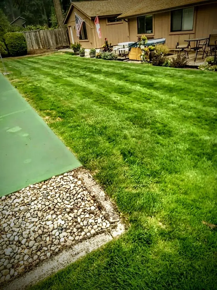 Affordable lawn care service experts serving Maple Valley, WA - Atlantis Landscape Design