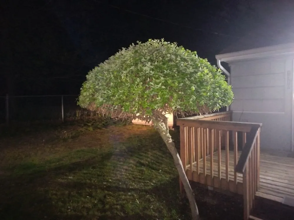 Top-rated residential landscaping in Maple Valley, WA - Atlantis Landscape Design