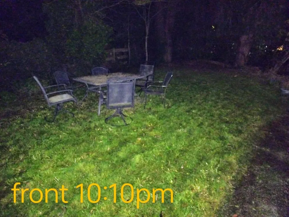 Trusted yard maintenance experts serving Maple Valley, WA - Atlantis Landscape Design