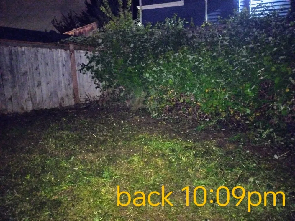 Top-rated garden landscaping for year-round maintenance in Maple Valley, WA by Atlantis Landscape Design