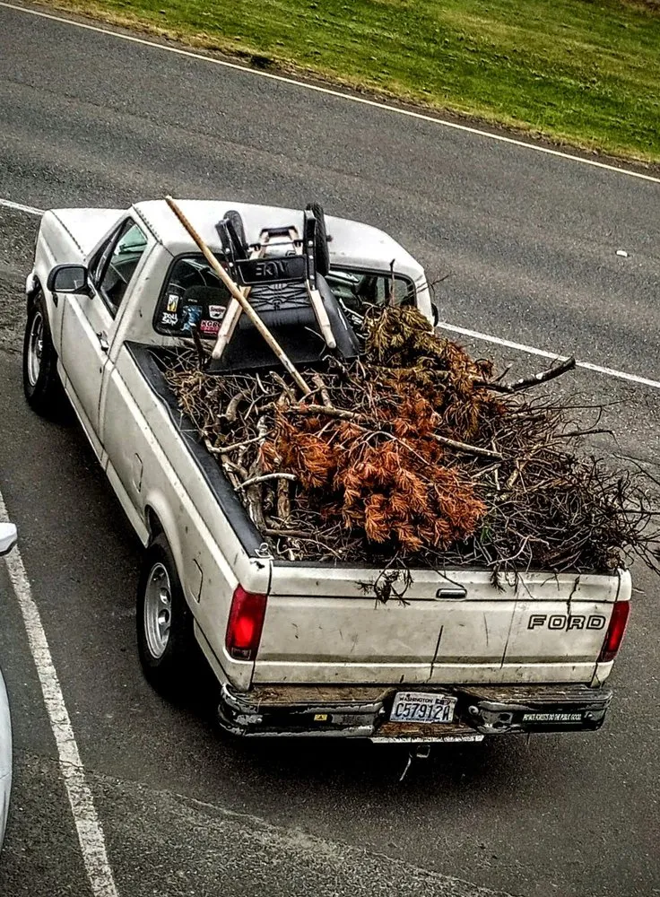 Professional lawn care service experts serving Maple Valley, WA - Atlantis Landscape Design