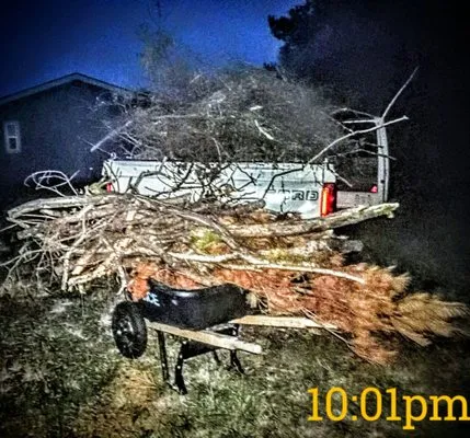 Atlantis Landscape Design