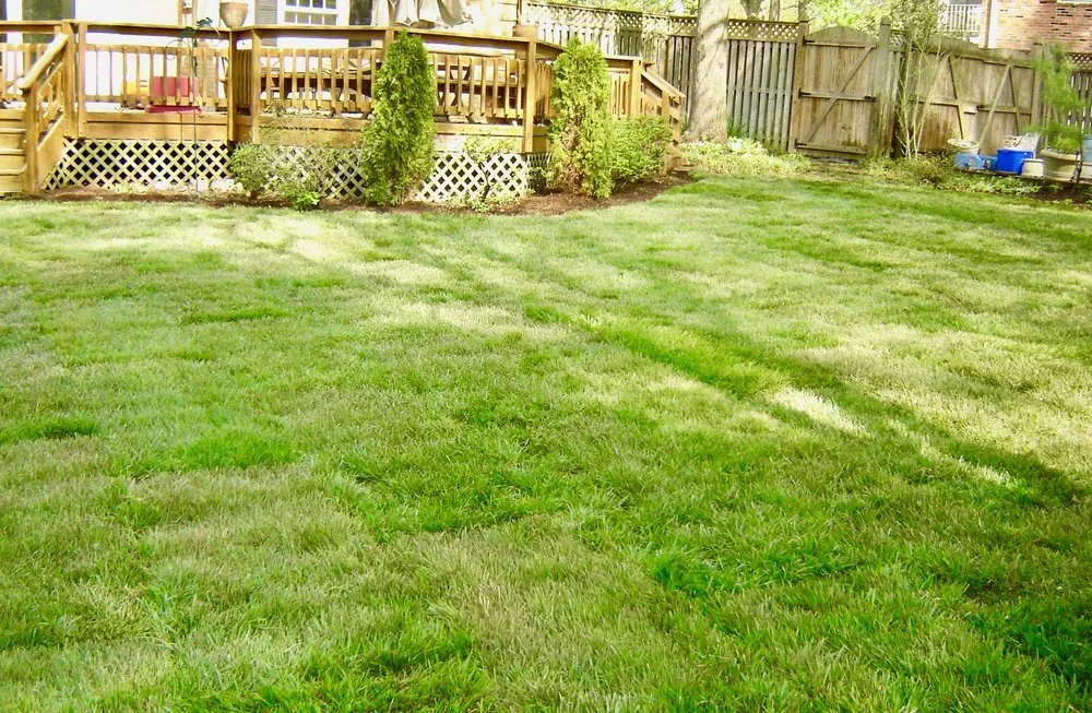 Trusted landscape design in Alexandria, VA by Atlas Enterprises