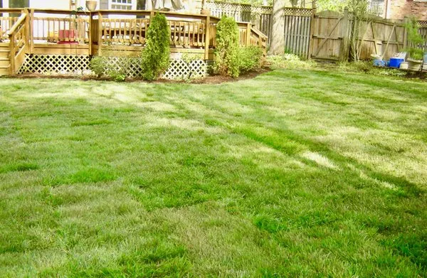 Atlas Enterprises Logo