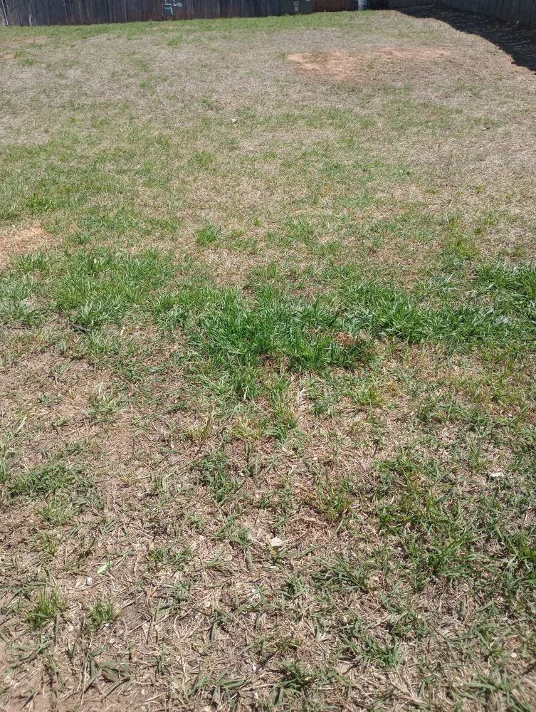 Custom landscape design in Norman, OK by Atlas Green Lawn