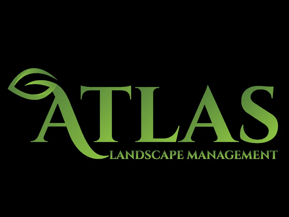 Expert landscape design for homes across Albuquerque, NM - Atlas Landscape Management