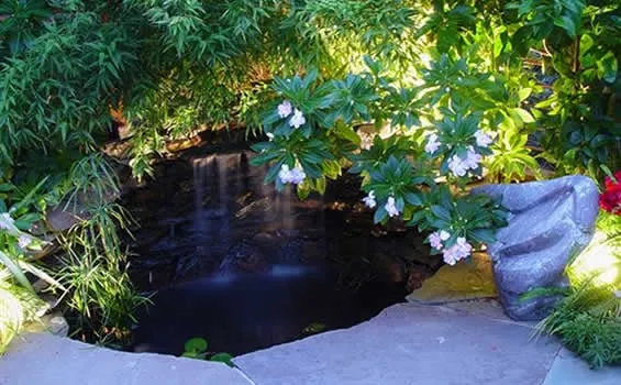 Reliable garden landscaping in Mill Valley, CA by Atlas Landscapes