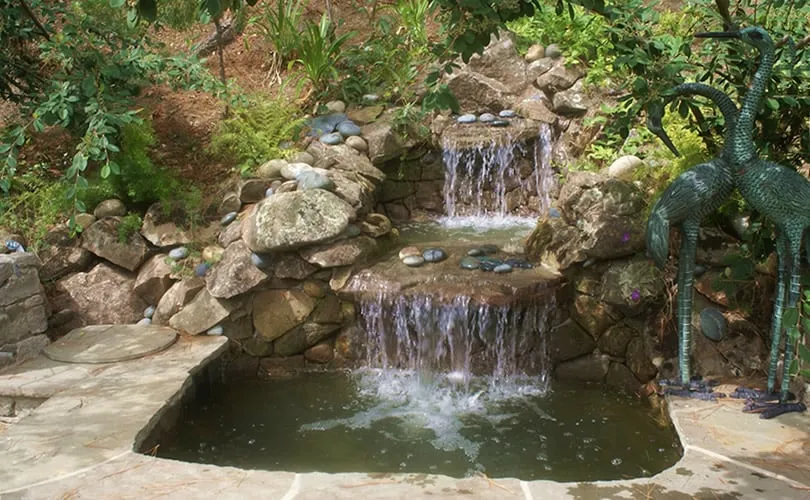 Professional outdoor landscaping for year-round maintenance in Mill Valley, CA by Atlas Landscapes