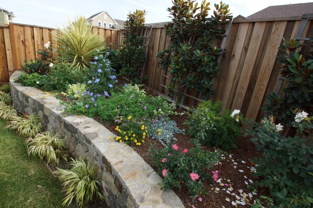 Custom yard cleanup service experts serving Mill Valley, CA - Atlas Landscapes