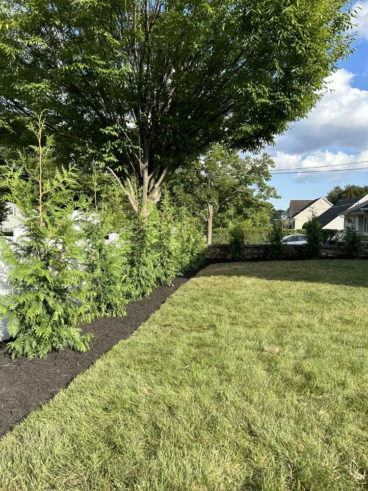 Top-rated residential landscaping in River Edge, NJ - Atlas Landscapes