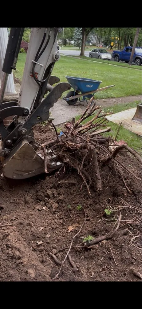 Professional landscaping services in River Edge, NJ - Atlas Landscapes