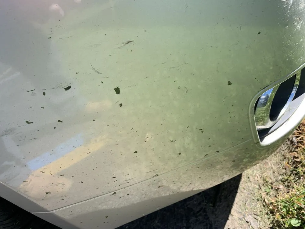 Affordable yard cleanup service experts serving Fergus Falls, MN - Atlas Outdoor Services