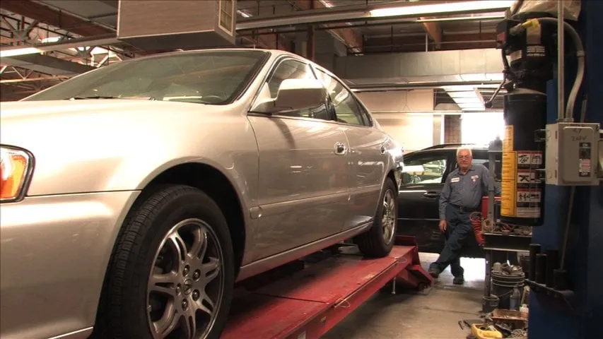 Reliable yard cleanup service in Concord, CA by Atlas Pavers Co